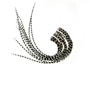 10 Feathers In Total 7-10 inches Length Single Beautiful Natural Black and White Stripped Grizzly Feathers for hair extension