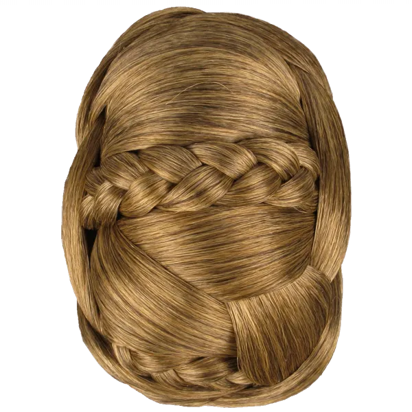 Braided Chignon | DISCONTINUED