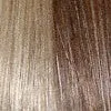 Clip Chignon Petite | DISCONTINUED